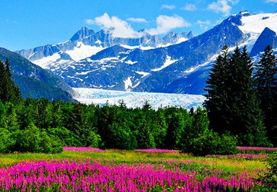 mendenhall-glacier-juneau-alaska_tourlisting